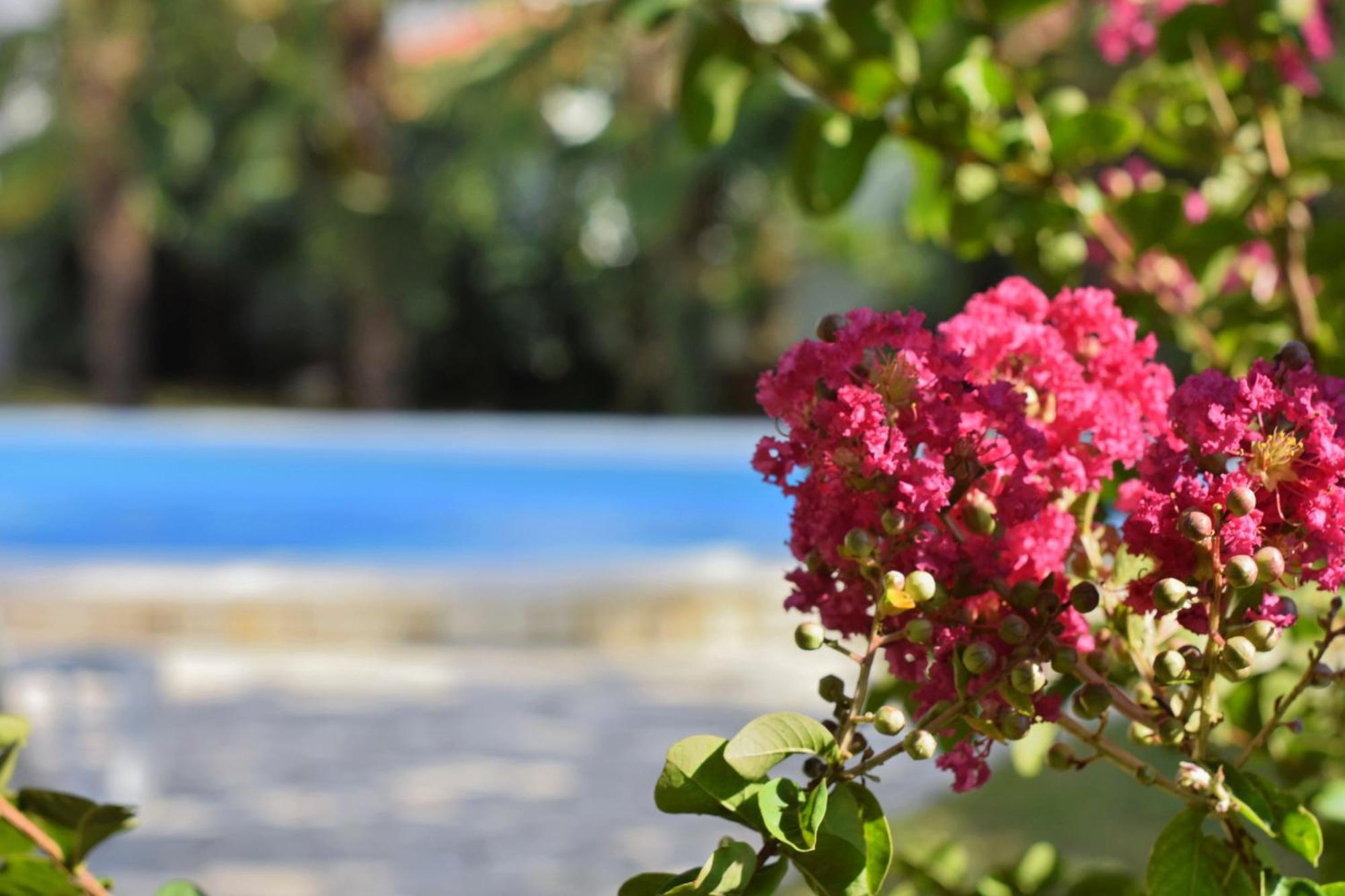 Apartments Vila Marinela Poreč Quarto foto